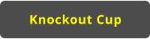 Knockout Cup
